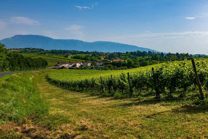 Le Colline del Prosecco di Conegliano e Valdobbiadene, Unesco Italy