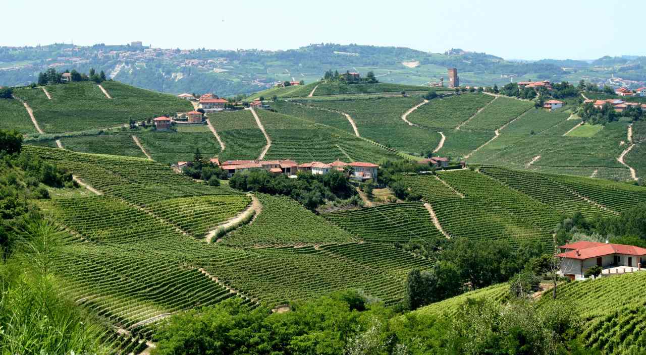 Vineyard Landscape of Piedmont, Langhe-Roero and Monferrato, Unesco Italy