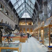 Oxford University Museum of Natural History, Oxford, England