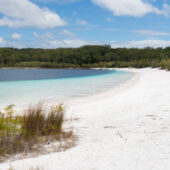 White Beach on Lake Mckenzei in Fraser Island,Queensland,Australia