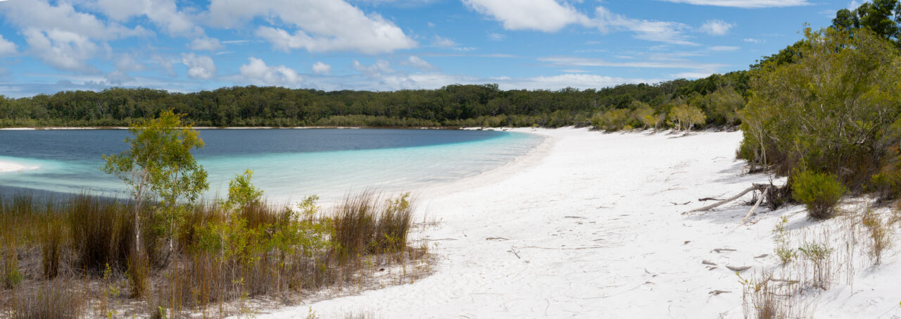 Panoramic View of a White Beach on Lake Mckenzei in Fraser Island,Queensland,Australia.Nature Concept