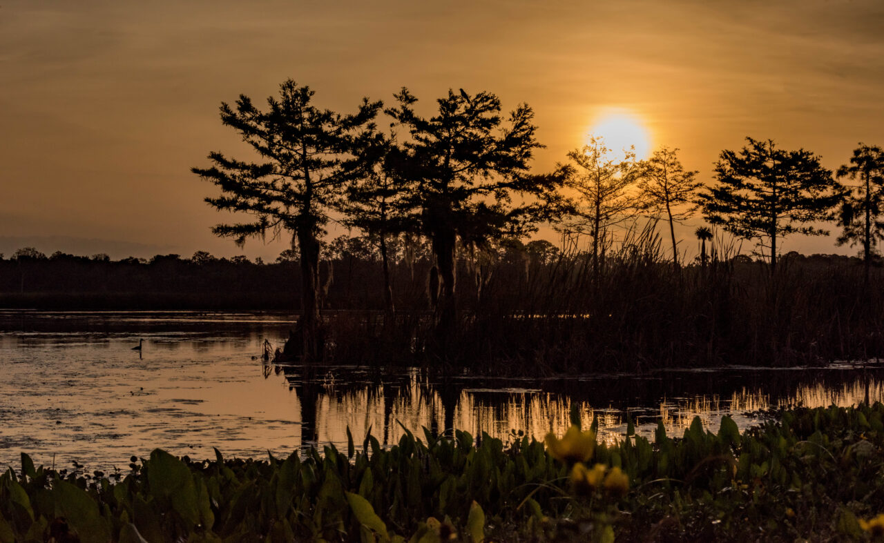 Sunset Over Everglades National Park in Florida